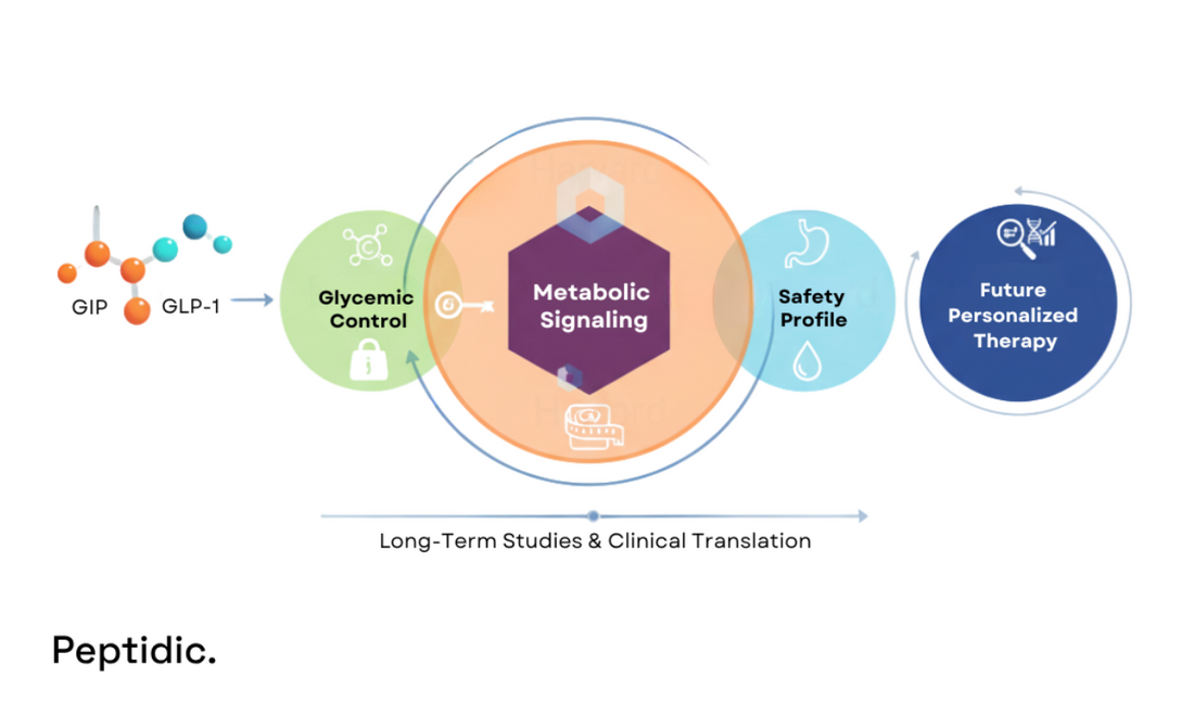 Visual explaining dual GIP/GLP-1 agonists enhancing metabolic outcomes and supporting personalized future therapies.