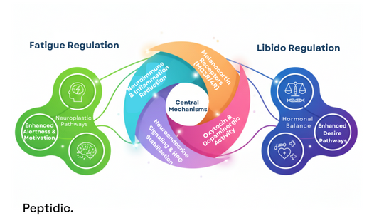 Diagram illustrating PT-141 neuroendocrine and neuroimmune regulation, highlighting fatigue and libido pathways.