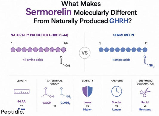 What Makes Sermorelin Molecularly Different From Naturally Produced GHRH?