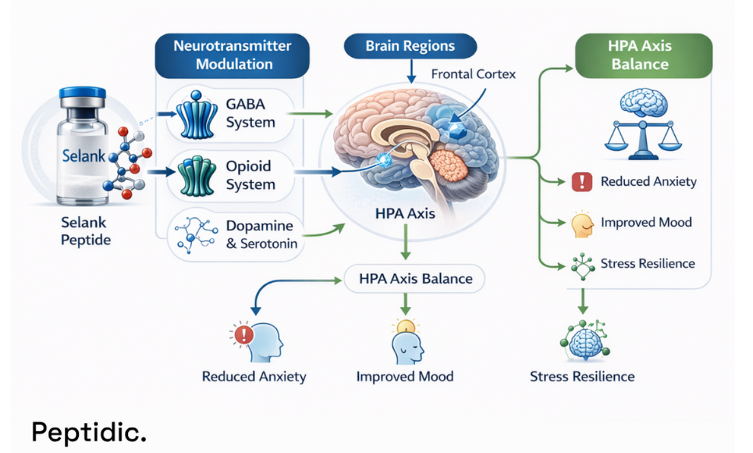 How Selank Influences Emotional Regulation Through Neurochemical Signaling?