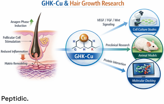 GHK-Cu hair growth research showing follicle stimulation, anagen induction, and signaling pathways.