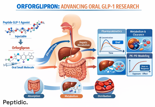 Orforglipron oral GLP-1 agonist diagram showing absorption, hepatic metabolism, distribution, pharmacokinetics, and PK-PD modeling compared with injectable peptide GLP-1 agonists.