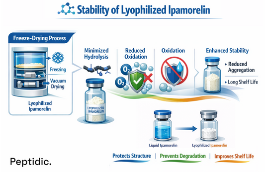 How Does the Lyophilized Configuration of Ipamorelin Affect Stability and Functional Activity?