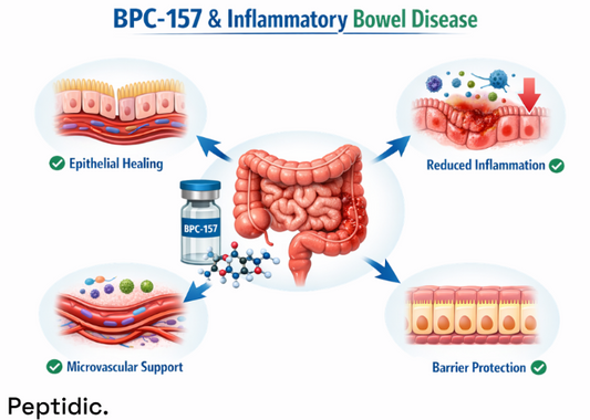 Can BPC-157 Influence Recovery Processes in Inflammatory Bowel Disease According to Research?