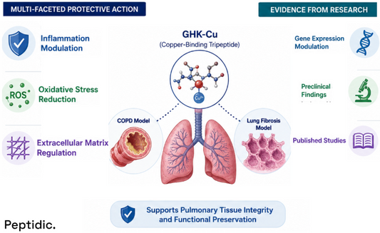 What Do Studies Suggest About GHK-Cu’s Protective Activity in COPD and Lung Fibrosis?
