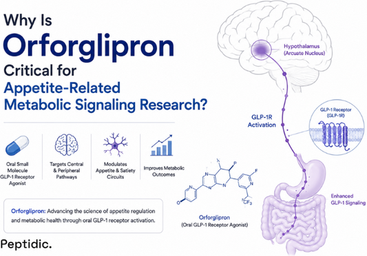 Why Is Orforglipron Critical for Appetite-Related Metabolic Signaling Research?