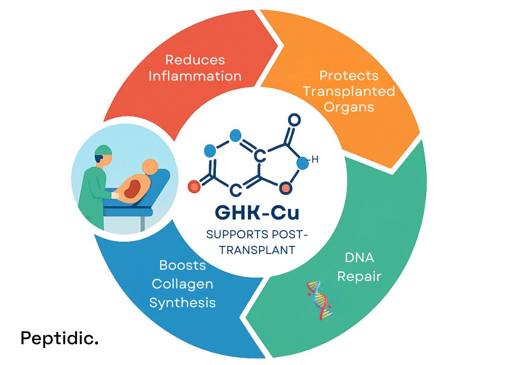 Can GHK-Cu Help Improve Recovery After Transplant Surgery?