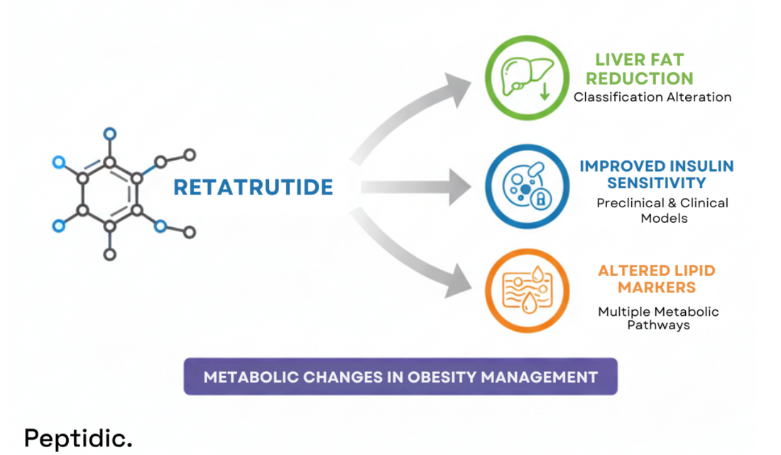 Retatrutide diagram showing metabolic effects, including liver fat reduction, insulin sensitivity, and lipid changes.