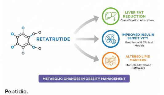 Retatrutide diagram showing metabolic effects, including liver fat reduction, insulin sensitivity, and lipid changes.