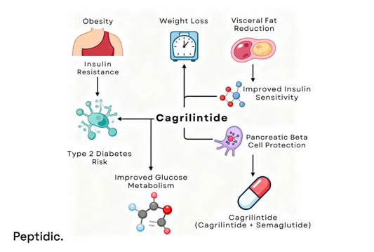 Is Cagrilintide Effective in Reducing Diabetes Risk for Vulnerable Individuals?